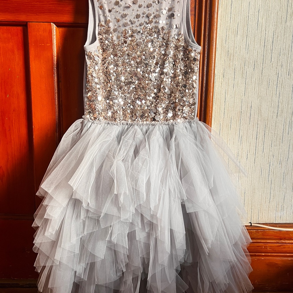 Tutu Du Monde Silver Sequin Top in Light Gray